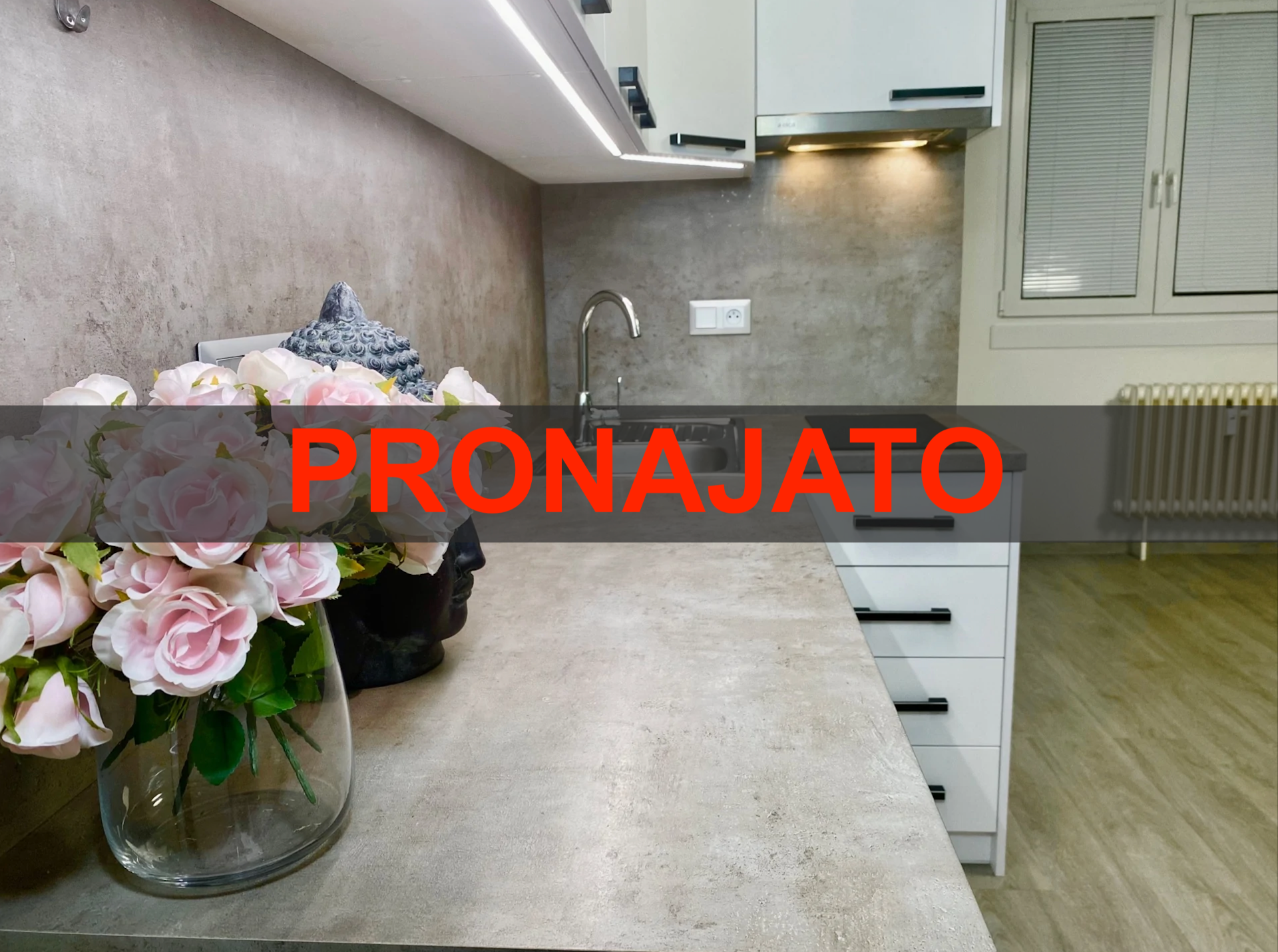 Pronájem bytu 1+kk s velkým balkónem a sklepem v Roztokách u Prahy